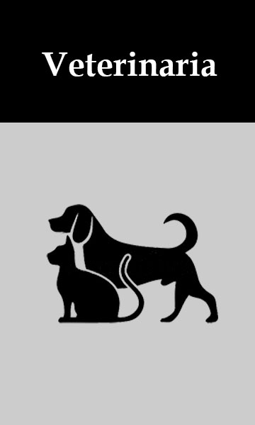 veterinaria