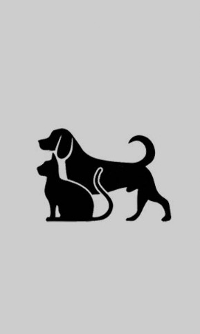 veterinaria
